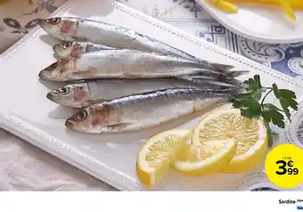Carrefour Market Sardine (1)(m) offre