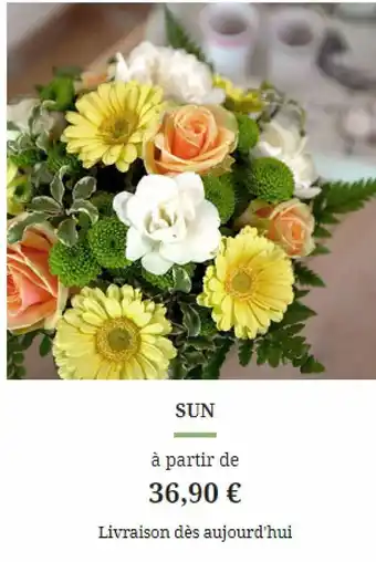 Sun
