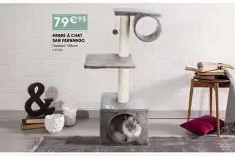 Point Vert Arbre a chat san fernando offre