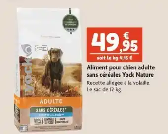 Aliment pour chien adulte sans céréales yock nature