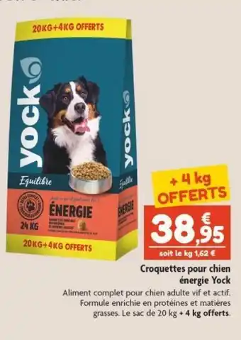 Point Vert Croquettes pour chien énergie yock offre
