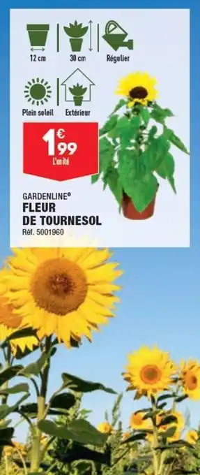 ALDI FLEUR DE TOURNESOL offre