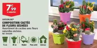 ALDI COMPOSITION CACTÉE DE FLEURS SÉCHÉES offre