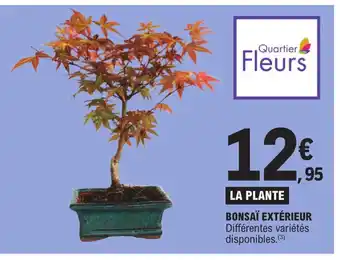 E.Leclerc BONSAÏ EXTÉRIEUR Différentes variétés disponibles.(3) offre