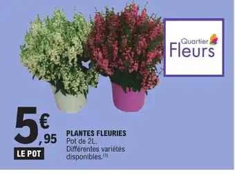 E.Leclerc PLANTES FLEURIES offre
