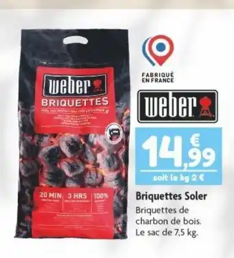 Briquettes soler