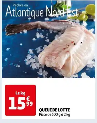 Auchan Queue de lotte offre