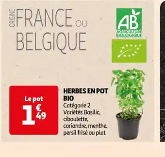 Auchan Supermarché HERBES EN POT offre