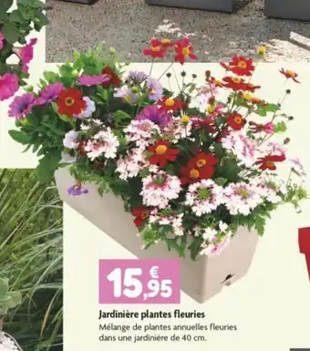 Point Vert Jardinière plantes fleuries Mélange de plantes annuelles fleuries dans une jardinière de 40 cm. offre