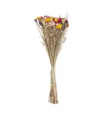 Truffaut Atmosphera - bouquet de fleurs séchées multicolores d. 22 x h. 55 cm offre