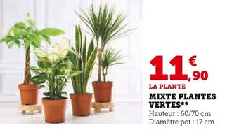 Super U MIXTE PLANTES VERTES** offre