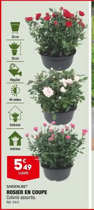 ALDI Gardenlin rosier en coupe offre