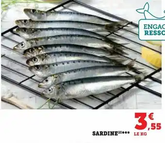 Super U Sardine offre