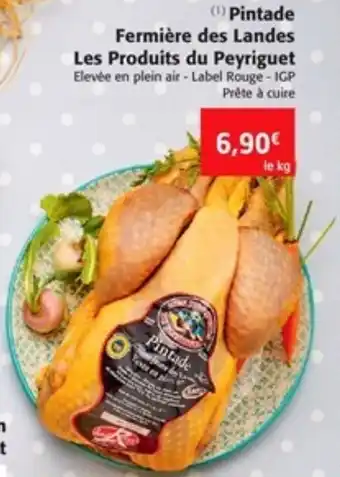 Pintade Fermière des Landes Les Produits du Peyriguet