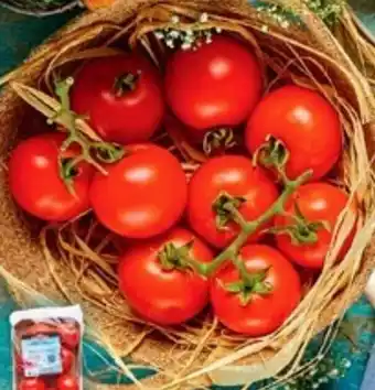 Colruyt Tomates grappe offre