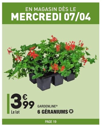 6 Géraniums