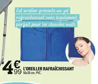 Centrakor L'OREILLER RAFRAÎCHISSANT 199 50x30 cm. offre