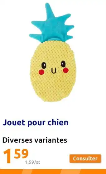 Jouet pour chien