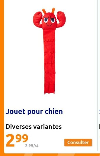 Action Jouet pour chien offre