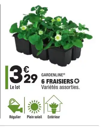 6 Fraisiers