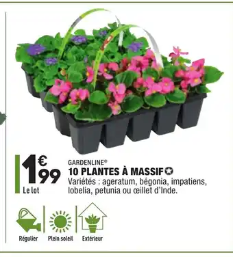 ALDI 10 Plantes à Massif offre