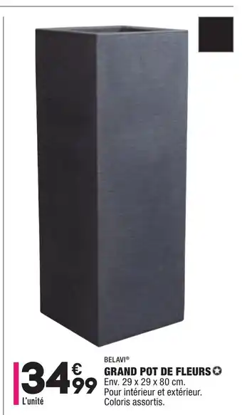 ALDI Grand pot de Fleurs offre