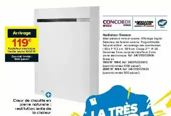 Castorama Radiateur rosace offre