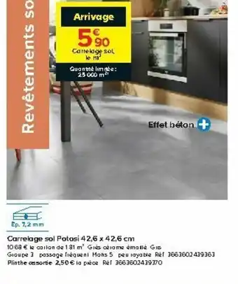 Castorama Carrelage sol potosi offre