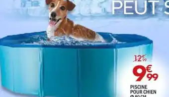 La Foir'Fouille PISCINE POUR CHIEN Ø80 CM offre
