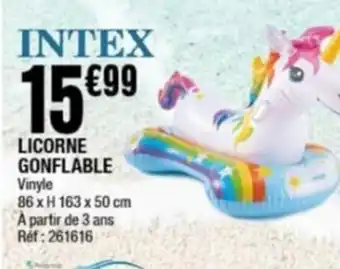 LICORNE GONFLABLE Vinyle