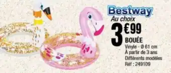 BOUÉE Vinyle-061 cm À partir de 3 ans Différents modèles Réf : 249109