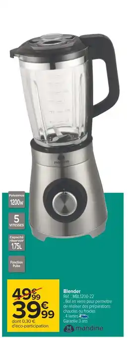 Carrefour Mandine blender offre