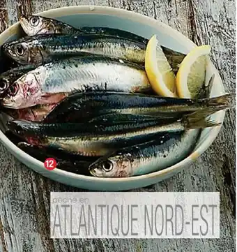 Cora x Carrefour Sardines offre