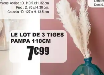 La Foir'Fouille LE LOT DE 3 TIGES PAMPA 110CM offre