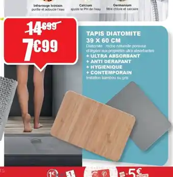 La Foir'Fouille TAPIS DIATOMITE 39 X 60 CM offre