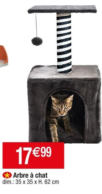 Cora x Carrefour Arbre à chat offre