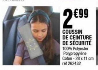 La Foir'Fouille Coussins de ceinture de sécurité offre