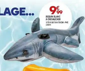 La Foir'Fouille Requin blanc à chevaucher offre