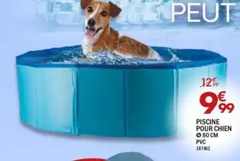 Piscine pour chien
