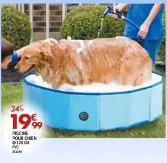 La Foir'Fouille Piscine pour chien offre