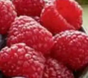 Framboises