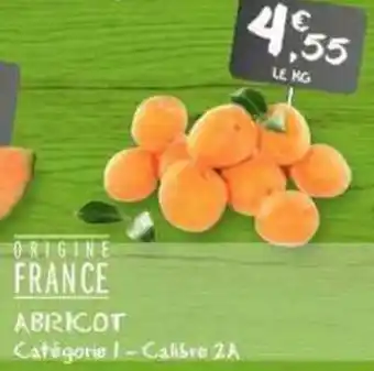 G20 ABRICOT offre