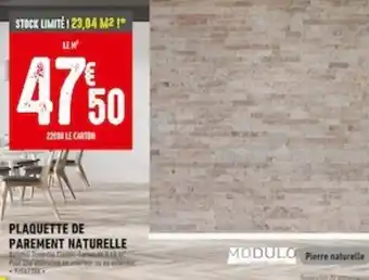 PLAQUETTE DE PAREMENT NATURELLE