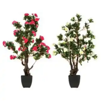 Azalee pot h.81cm