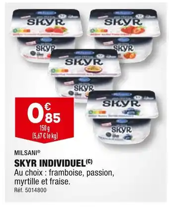 ALDI Milsani skyr individuel offre