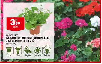 ALDI Gardenline geranium odorant citronelle anti-moustique offre