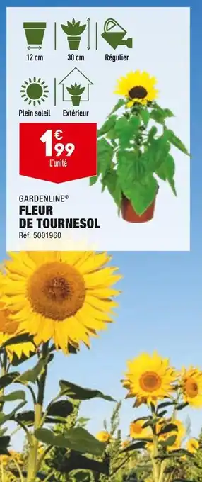 ALDI Gardenline fleur de tournesol offre