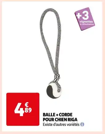Auchan Riga balle + corde pour chien offre