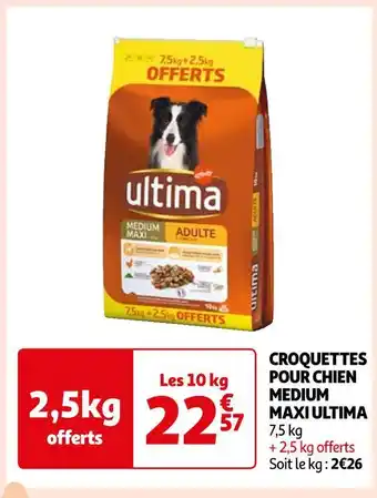 Auchan Ultima croquettes pour chien medium maxi offre