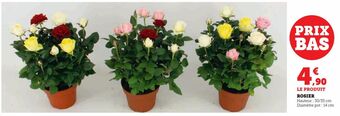 U Express Rosier offre